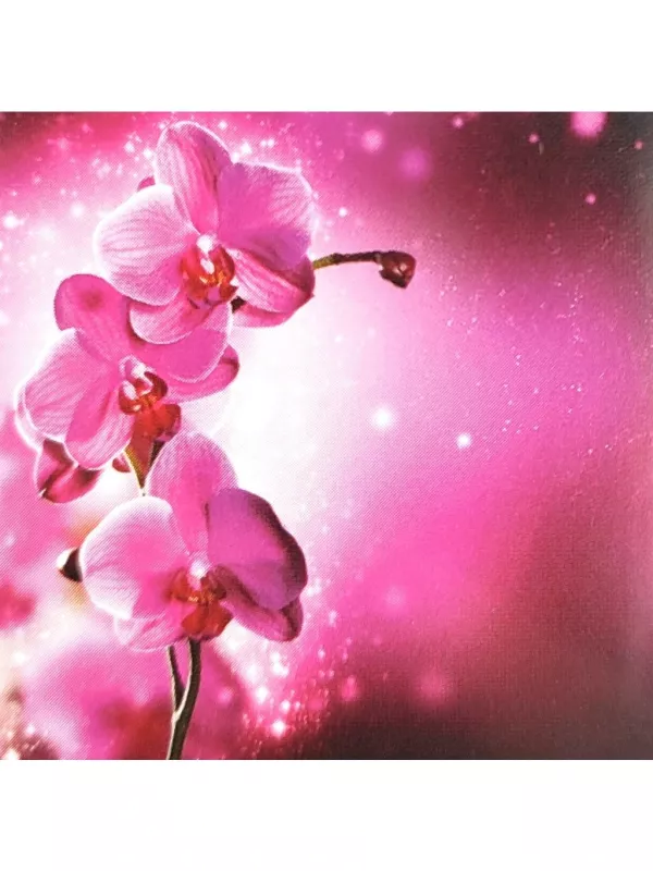 3D přání do obálky - Orchidej Lowlands s.r.o.