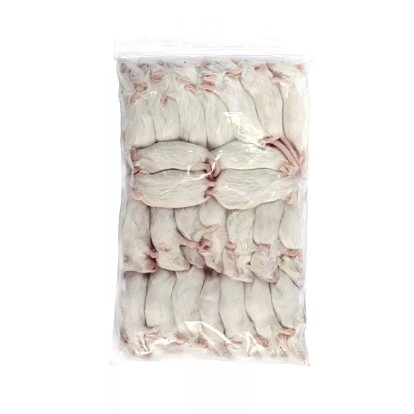 Myš mražená - skokan malý 7-10 g