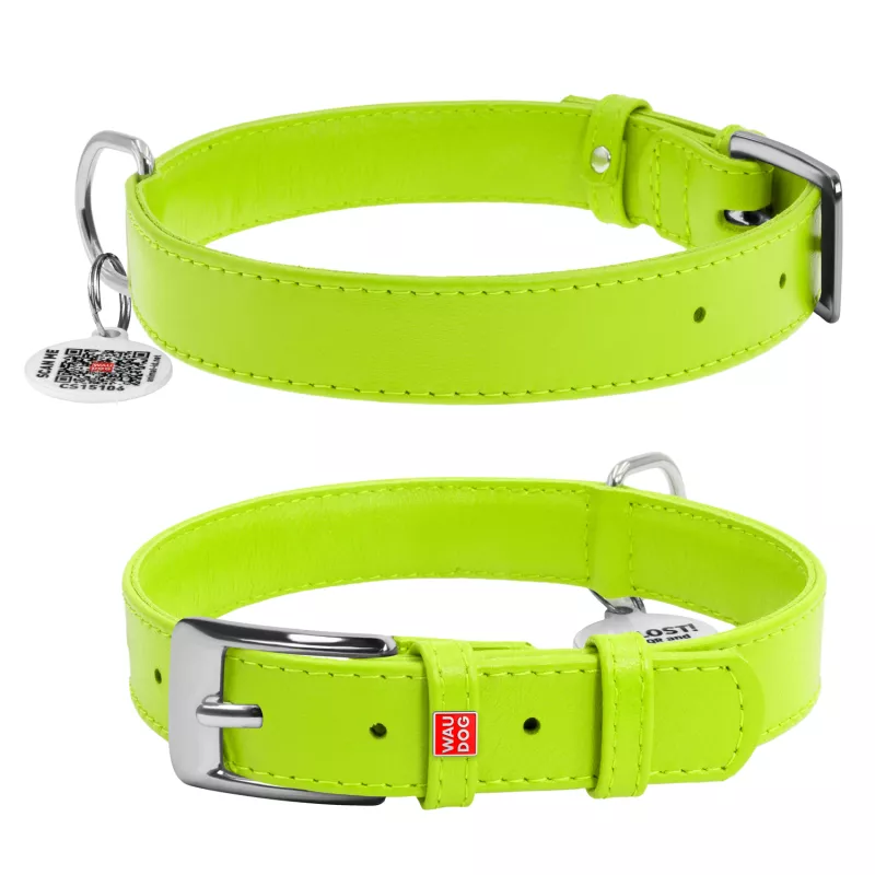 Kožený obojek 30 - 39 cm Waudog Glamour