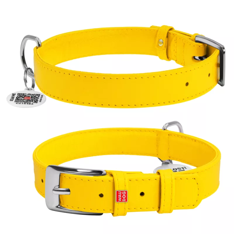 Kožený obojek 38 - 49 cm Waudog Glamour