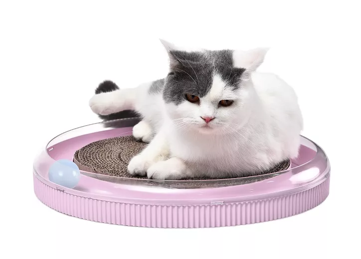 Odpočívadlo a hračka pro kočky 4 v 1