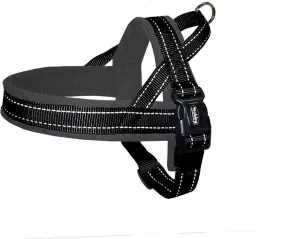 Nobby CLASSIC REFLECT SOFT norský postroj M/L černý