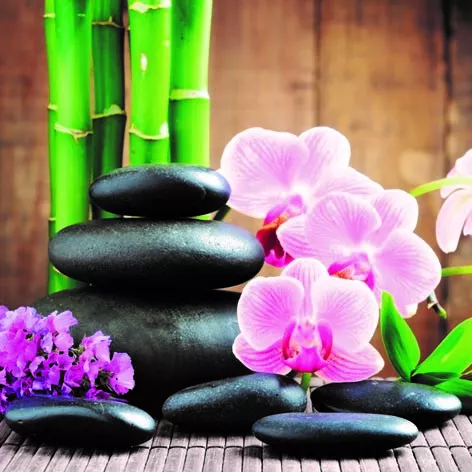 3D přání do obálky - Orchidej a kameny Lowlands s.r.o.