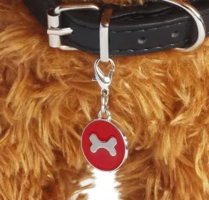 Přívěsek na obojek 