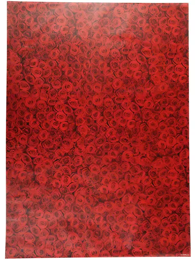 Folia Bringmann Transparentní papír - růže Folia - Bringmann .