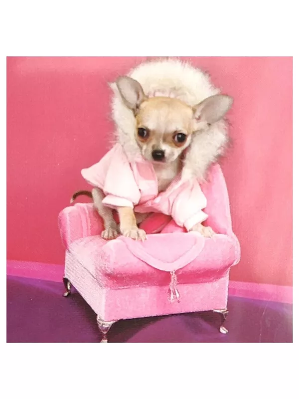 3D přání do obálky - Čivava Lowlands s.r.o.