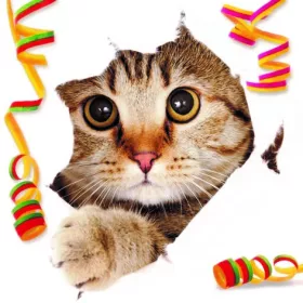 3D přání do obálky Lowlands s.r.o. 3D přání do obálky Lowlands s.r.o.