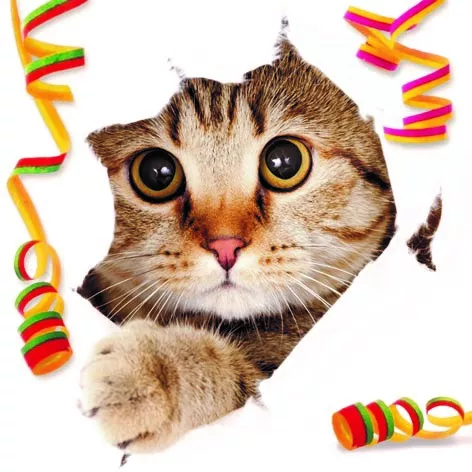 3D přání do obálky - Kočka s konfetami Lowlands s.r.o.