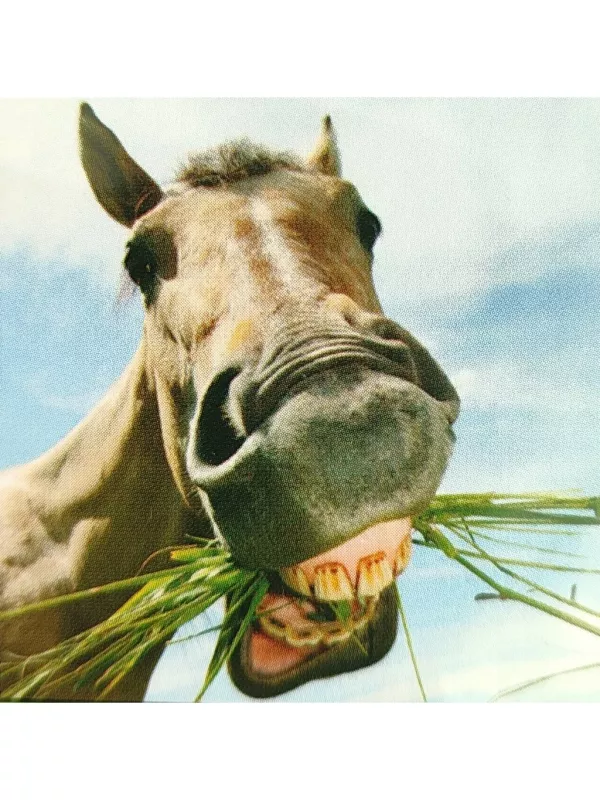 3D přání do obálky - Kůň Lowlands s.r.o.