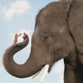 3D přání do obálky Lowlands s.r.o. 3D přání do obálky Lowlands s.r.o.