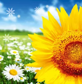 3D přání do obálky Lowlands s.r.o. 3D přání do obálky Lowlands s.r.o.