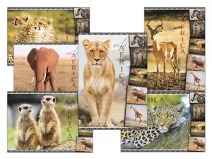 Pohlednice - zvířata Afriky