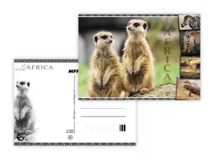 Pohlednice - zvířata Afriky MFP paper s.r.o.