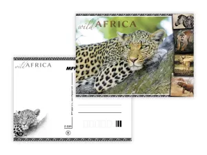 Pohlednice - zvířata Afriky MFP paper s.r.o.