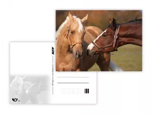 Pohlednice - zvířata mix MFP paper s.r.o. Pohlednice - zvířata mix MFP paper s.r.o.