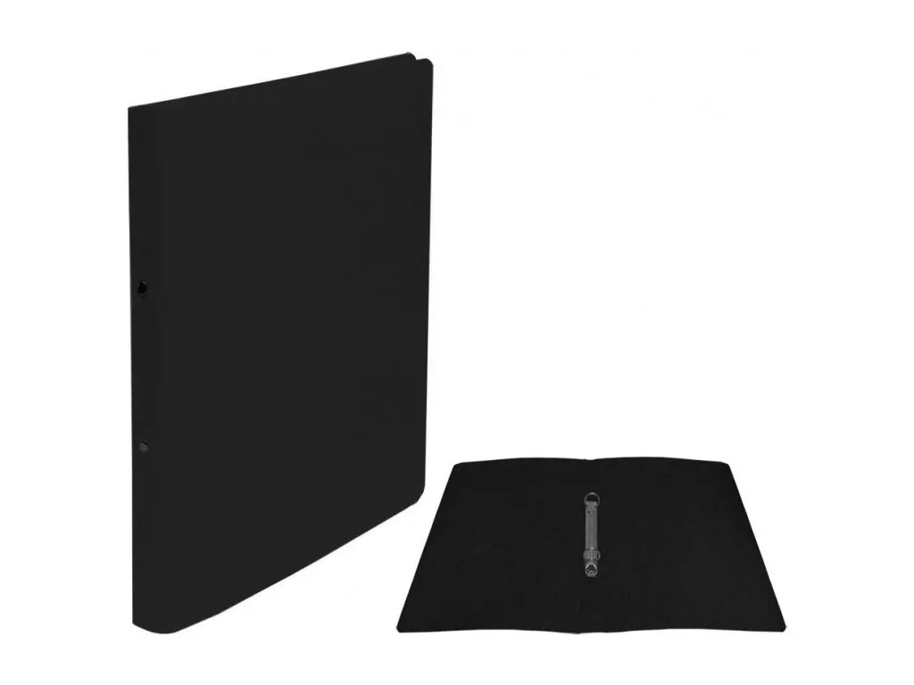 Pořadač A4 2-kroužkový Karton P+P