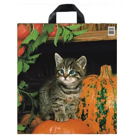 Taška PE s páskovým uchem