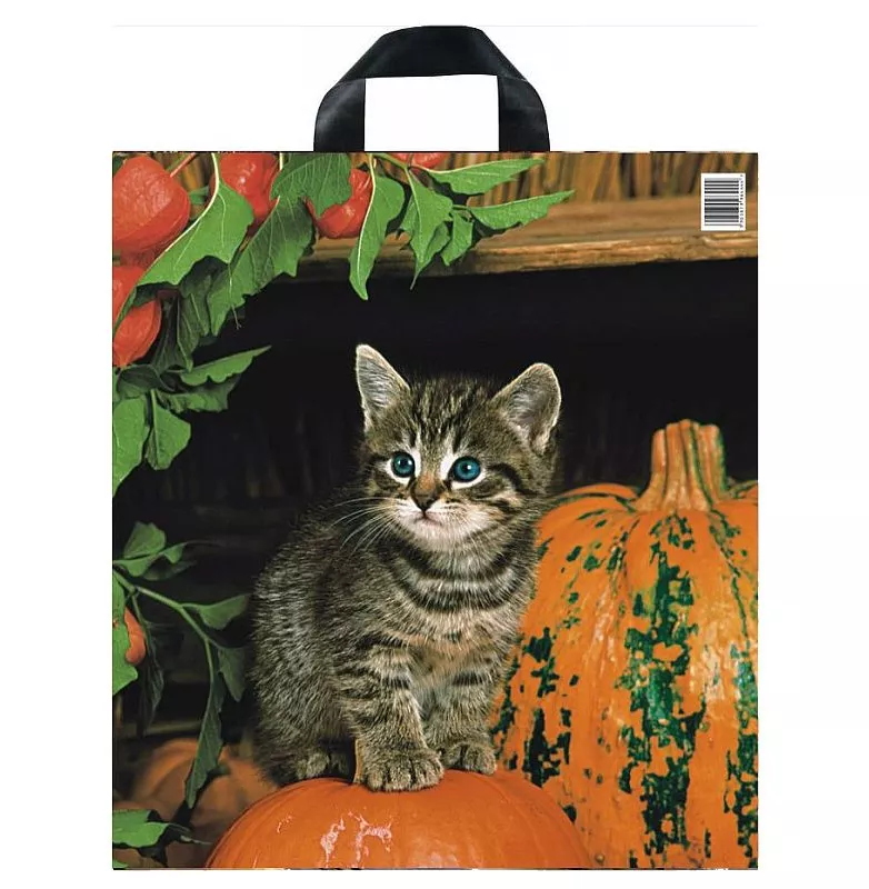 Taška PE s páskovým uchem - Kotě a dýně