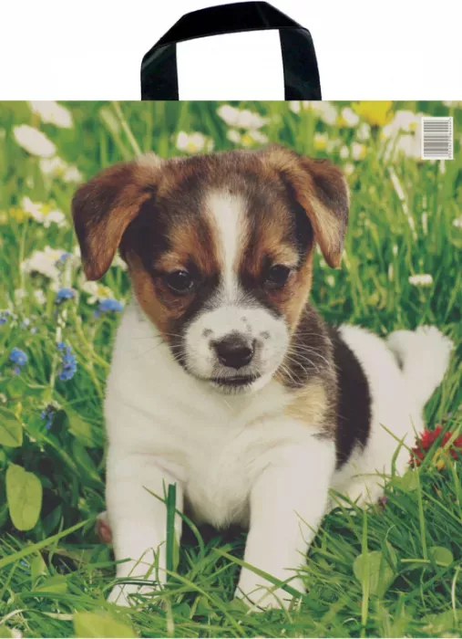 Taška PE s páskovým uchem - Štěně