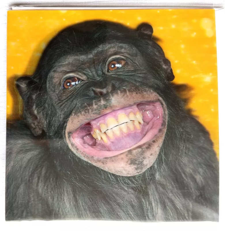 Přání do obálky 3D - Šimpanz Lowlands s.r.o.