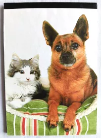 Blok lepený čtvereček