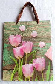 Dárková taška LUX - L