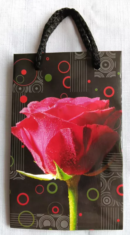 Dárková taška T1 POL-MAK