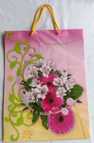 Dárková taška XXL 28