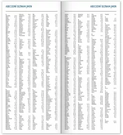 DIÁŘ 2026 plánovací měsíční Notique