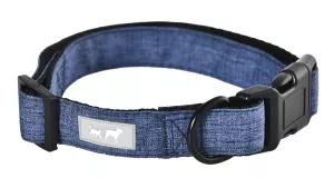 Obojek modrý 2,5 cm