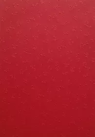 Barevný papír vytlačovaný Folia - Bringmann Barevný papír vytlačovaný Folia - Bringmann