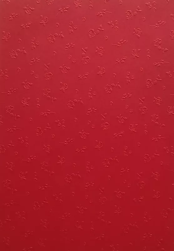 Barevný papír vytlačovaný Folia - Bringmann