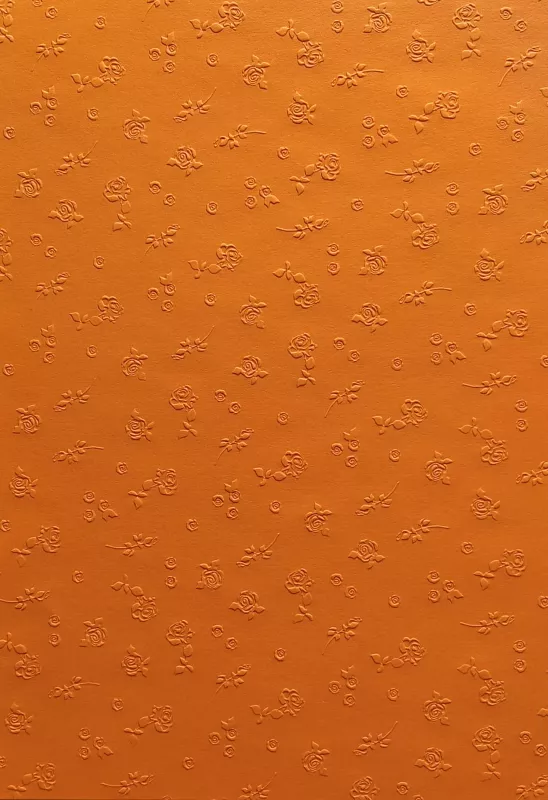 Barevný papír vytlačovaný - oranžový Folia - Bringmann