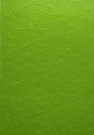 Barevný papír vytlačovaný Folia - Bringmann Barevný papír vytlačovaný Folia - Bringmann