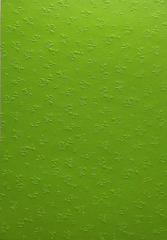 Barevný papír vytlačovaný - zelený Folia - Bringmann