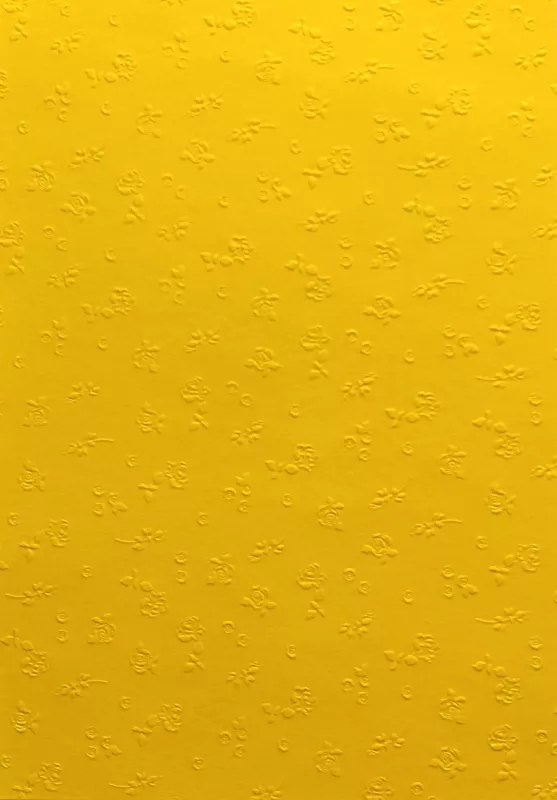 Barevný papír vytlačovaný - žlutý Folia - Bringmann