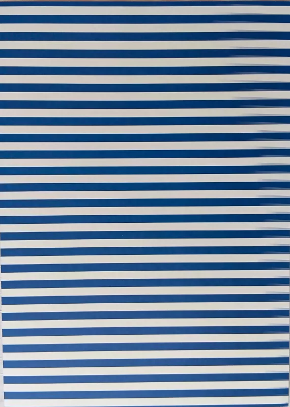 Fotokarton - proužky Folia - Bringmann