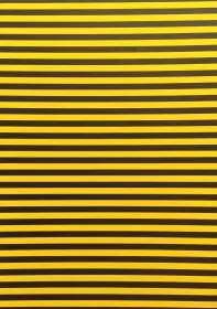 Fotokarton - proužky Folia - Bringmann