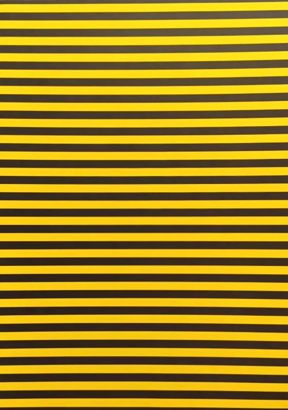 Fotokarton - proužky - žluté / černé Folia - Bringmann