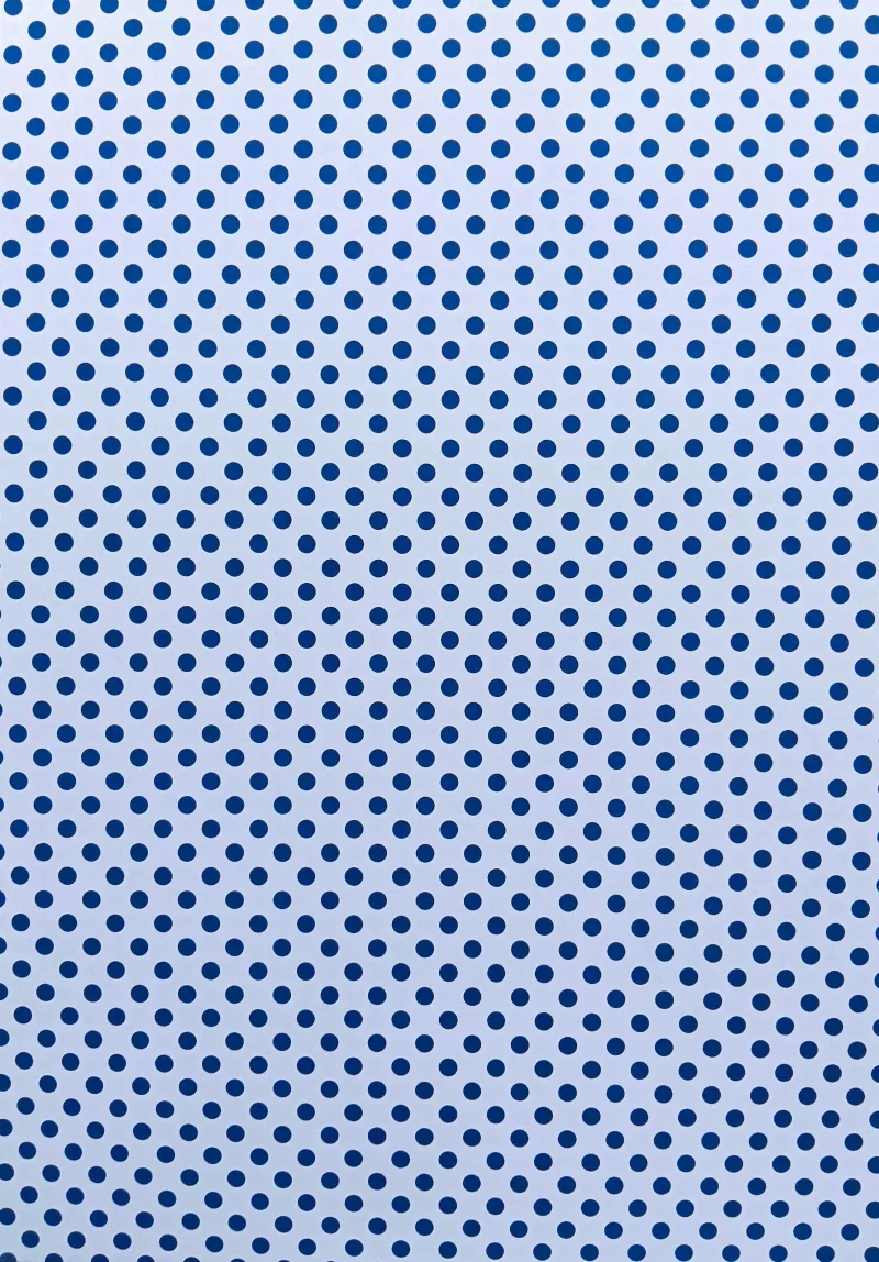 Fotokarton - puntíky Folia Bringmann