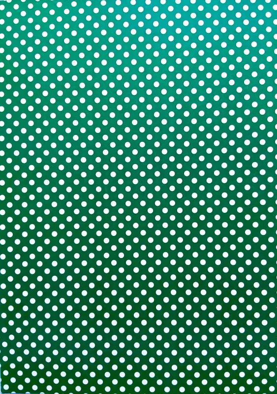 Fotokarton - puntíky - 2 Folia Bringmann