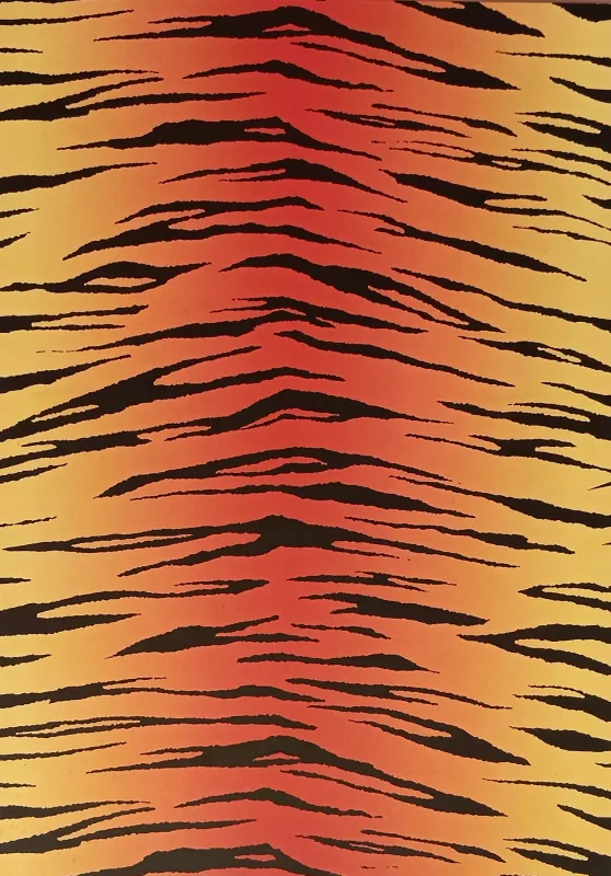 Fotokarton - zvířecí srst Folia - Bringmann