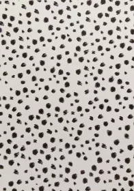 Fotokarton - zvířecí srst Folia - Bringmann