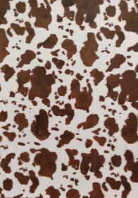 Fotokarton - zvířecí srst Folia - Bringmann