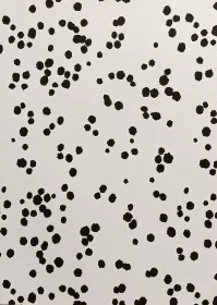 Fotokarton - zvířecí srst Folia - Bringmann