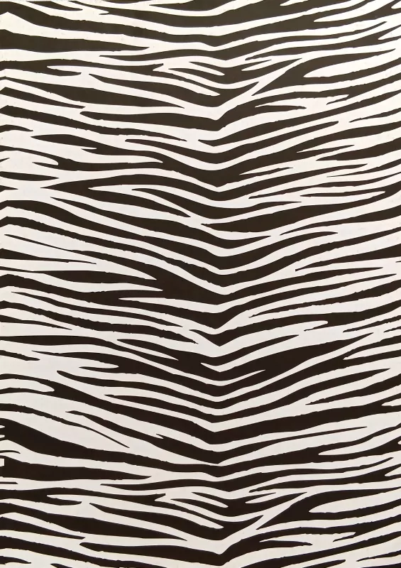 Fotokarton - zvířecí srst - zebra Folia - Bringmann