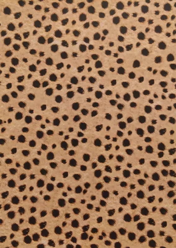 Fotokarton - zvířecí srst - gepard 2 Folia - Bringmann