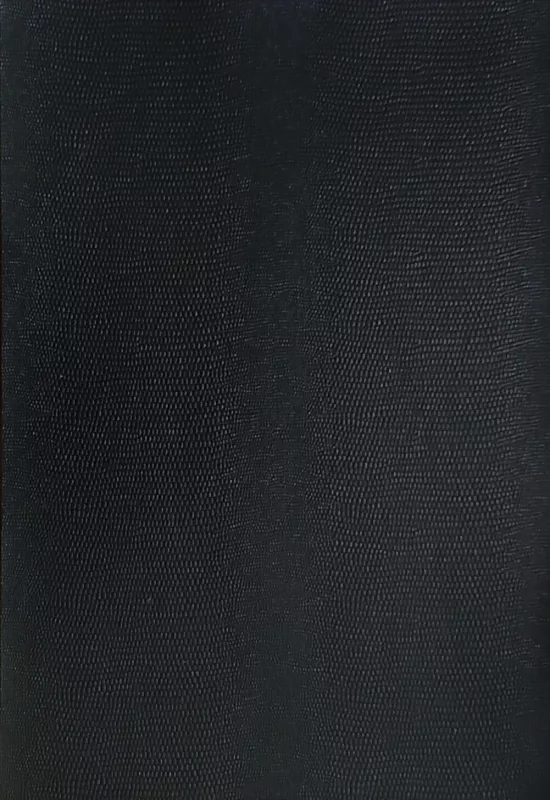 Kreativní karton - hadí kůže - černá Folia - Bringmann