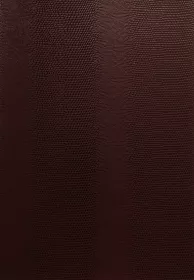 Kreativní karton - hadí kůže Folia - Bringmann