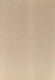 Kreativní karton - hadí kůže Folia - Bringmann